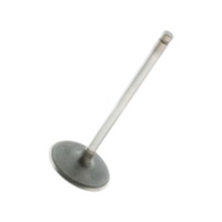 GM LS1 LS2 LS6 Intake Valve