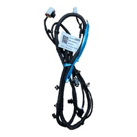 Holden Wiring Harness