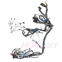 Holden Main Body/Engine Harness