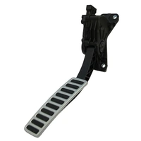 Holden VE Accelerator Pedal Assembly Silver Sports Commodore All V6 V8 Models GM 92238397