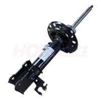 Holden Strut/Shock Absorber 