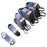 ACDelco Assorted Multi V-Belts 