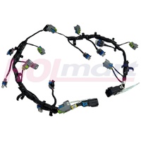 HSV VF LSA 6.2L Fuel Injector Wiring Harness Looms Pair - GTS Senator Clubsport R8 GEN-F2 