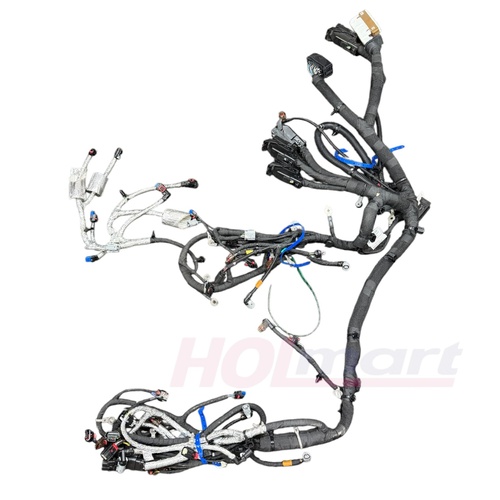 Holden Main Body/Engine Harness