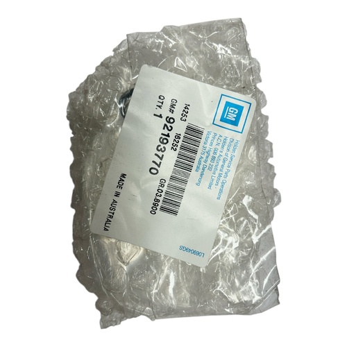 Holden fuel pump filter