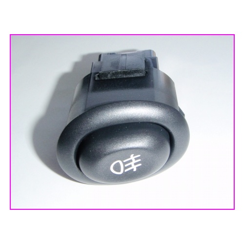 VT VX SS Calais Fog Light Switch & Bezel 