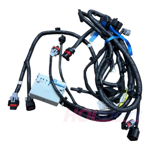 Holden Wiring Loom