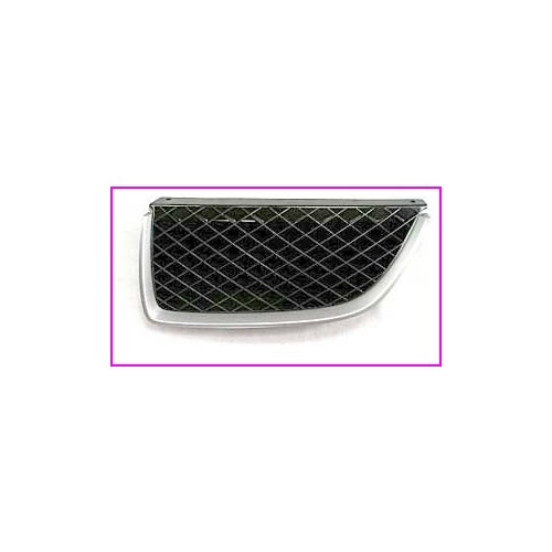 Holden Commodore VX GRILLE LEFT EXECUTIVE SERIES II - 9/01 - 9/02 (Surplus)